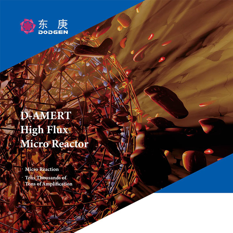 D-AMERT High Flux Micro Reactor Vre2024_01
